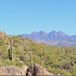 Meet your Posher, AzAnne